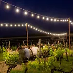 Palagina Il Borgo Agricolo Kemping
