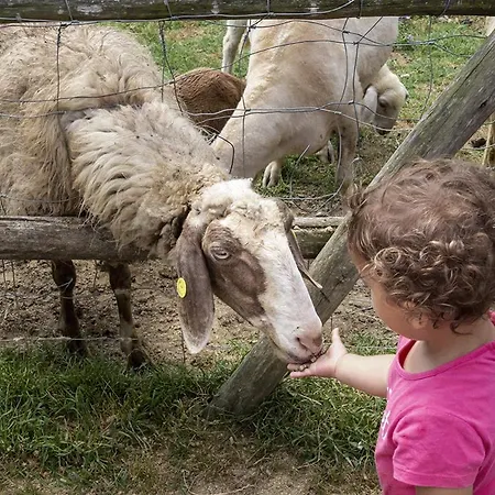 Palagina Il Borgo Agricolo Campsite