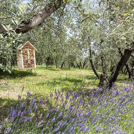 Palagina Il Borgo Agricolo *