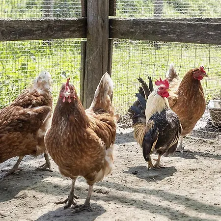 Kemping Palagina Il Borgo Agricolo